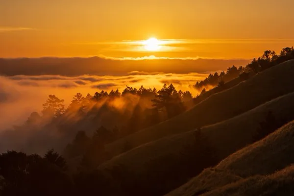 California